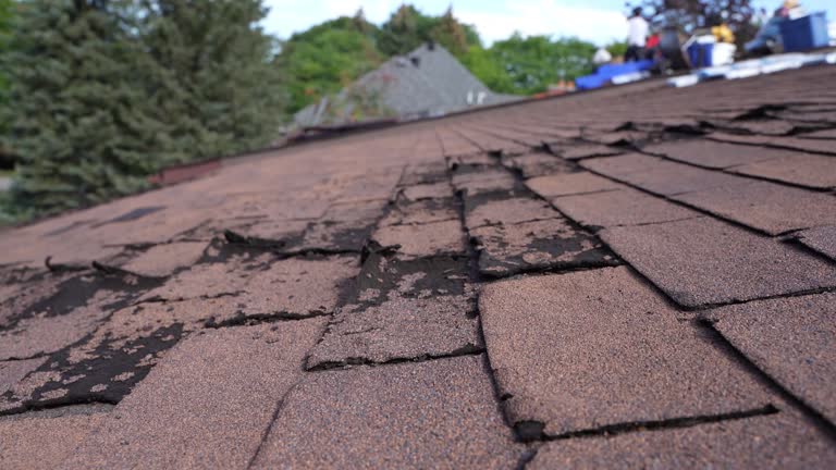 Best Gutter Installation and Repair  in Niles, MI
