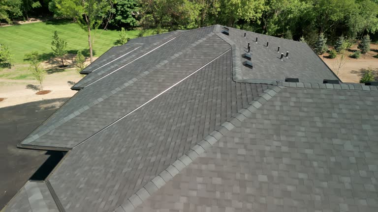 Best Roof Insulation Installation  in Niles, MI
