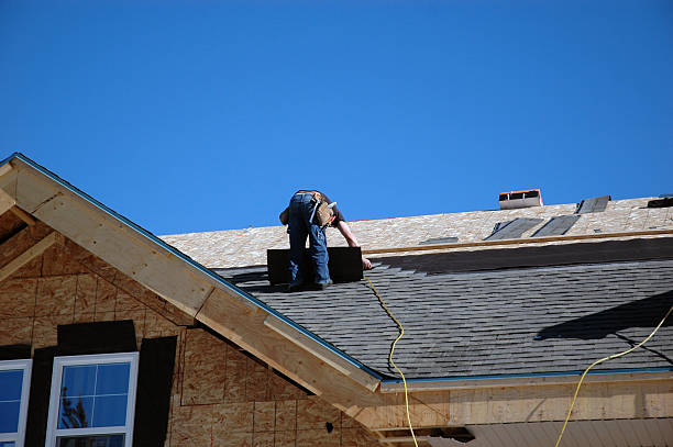 Best Chimney Flashing Repair  in Niles, MI